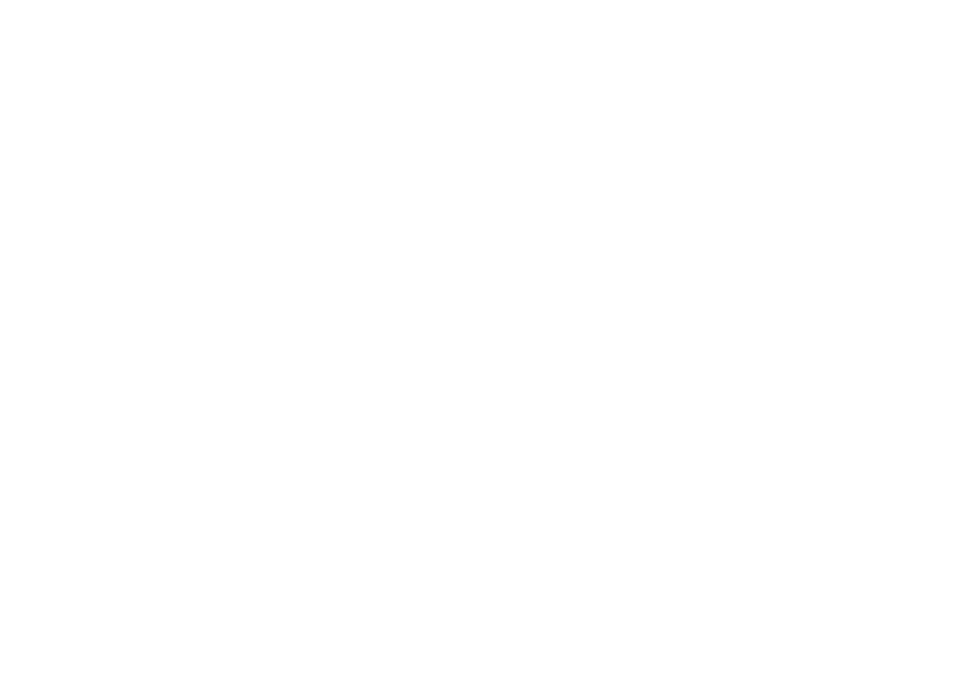 Monarcasoft
